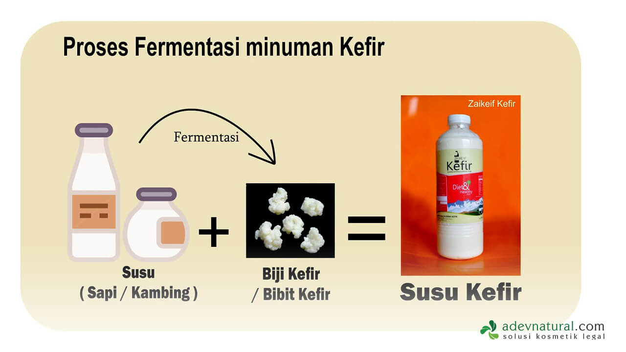 pembuatan kefir