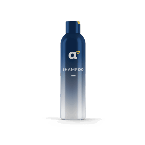 Produk Shampoo