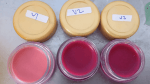 Maklon Produk Tinted Lip Balm 03