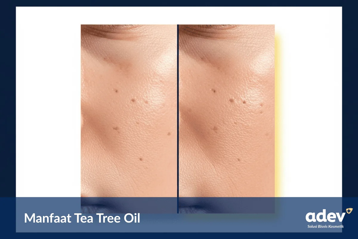 fungsi dan manfaat tea tree oil untuk wajah