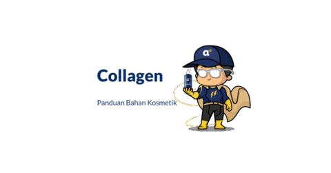 Bahan Collagen