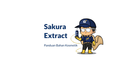 Bahan Ekstrak Sakura