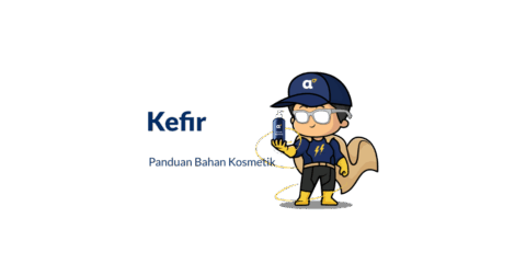 Bahan Kefir