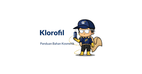 Bahan Klorofil