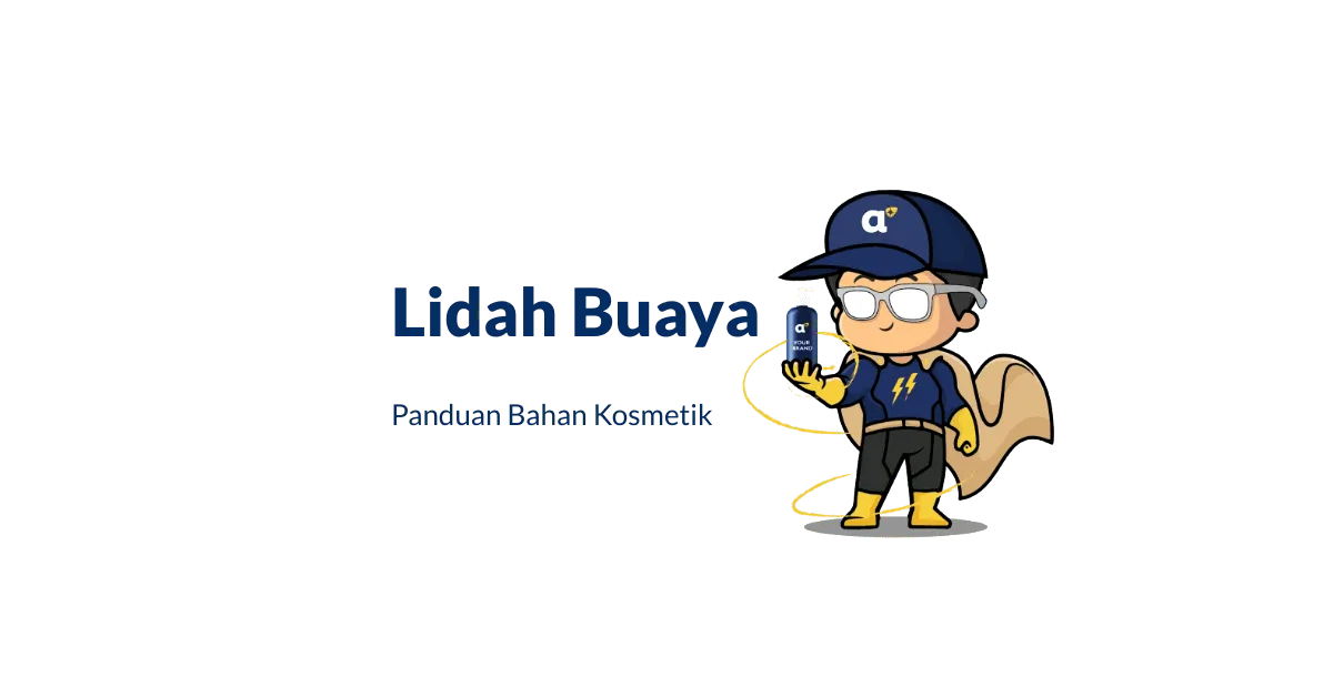 Bahan Lidah Buaya