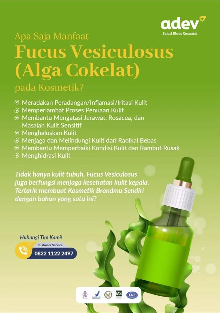 Bahan algae coklat 1