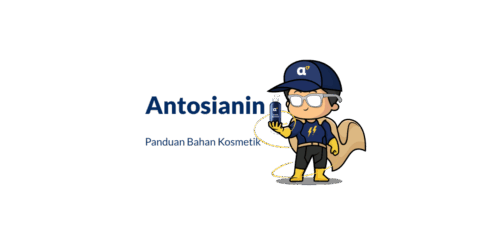 Bahan Antosianin
