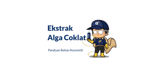 ekstrak alga coklat