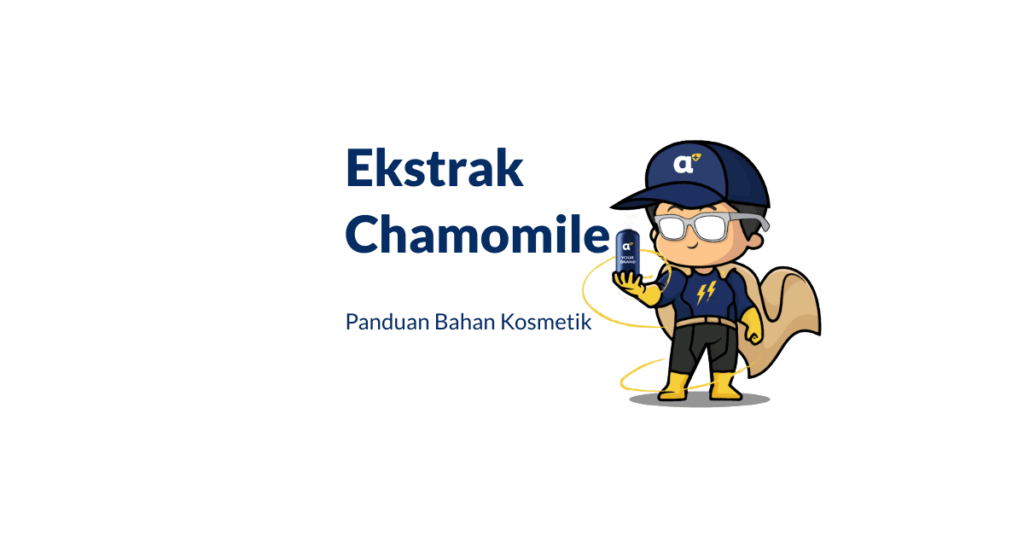 Ekstrak Chamomile 1