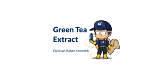 Bahan Green Tea Extract