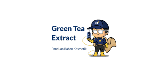Bahan Green Tea Extract