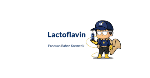 Bahan Lactoflavin