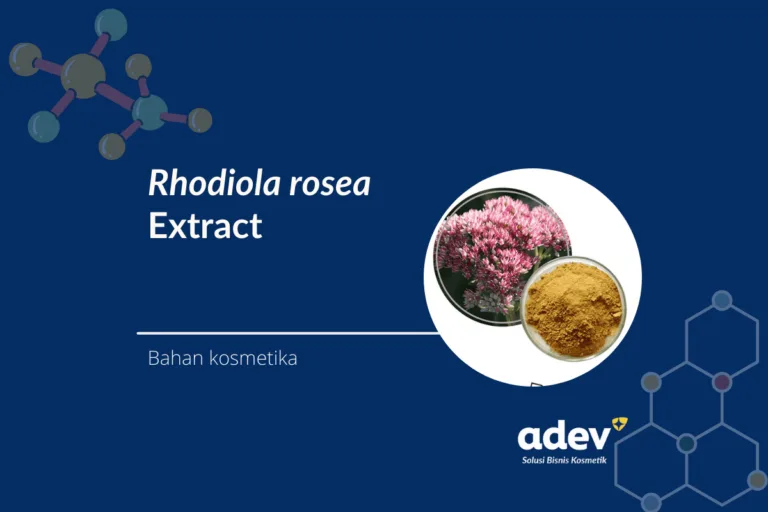 Rhodiola rosea extract