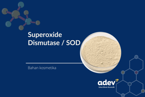 Superoxide dismutase