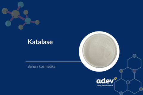 Katalase
