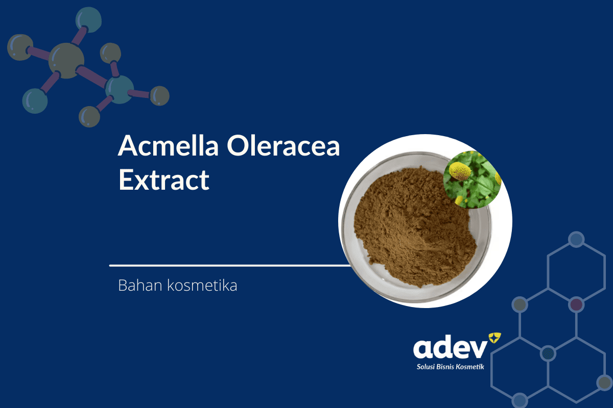 Acmella oleracea extract