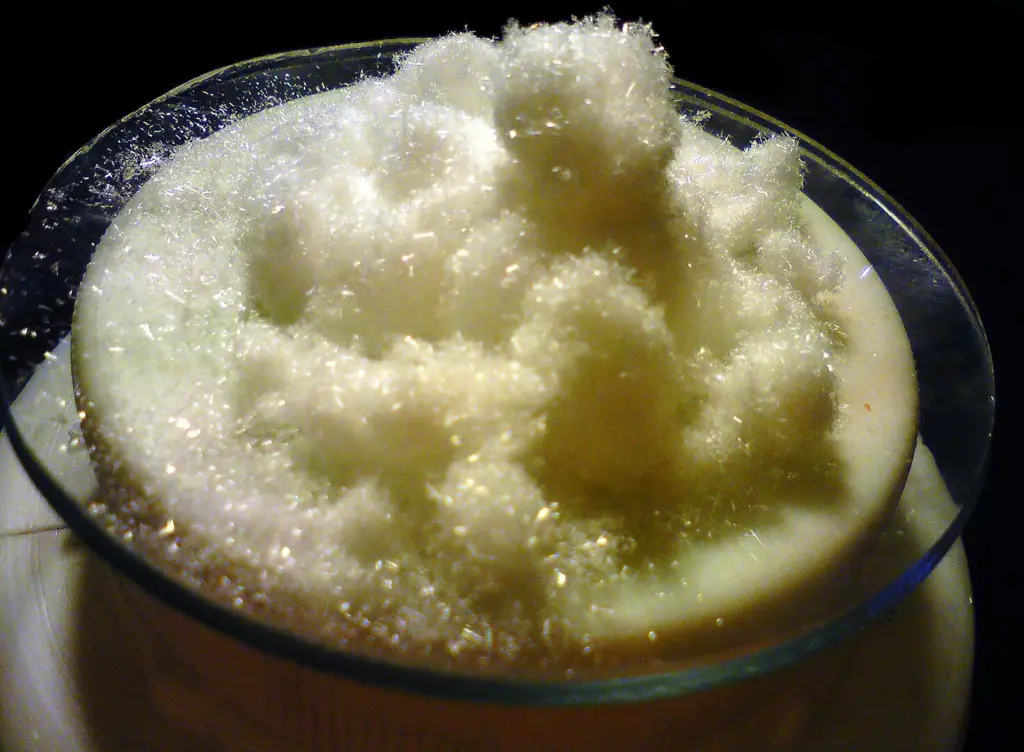 Bentuk serbuk kristal Asam Salisilat