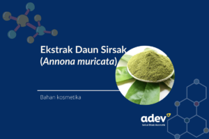 Ekstrak daun sirsak