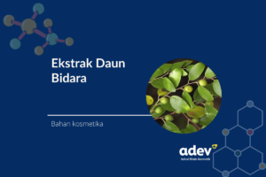 Ekstrak daun bidara