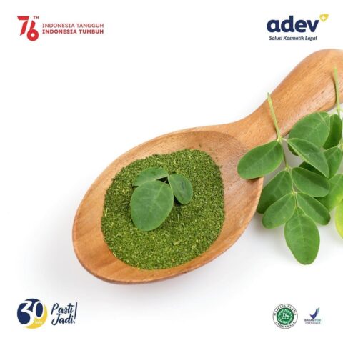 Ekstrak Daun Kelor