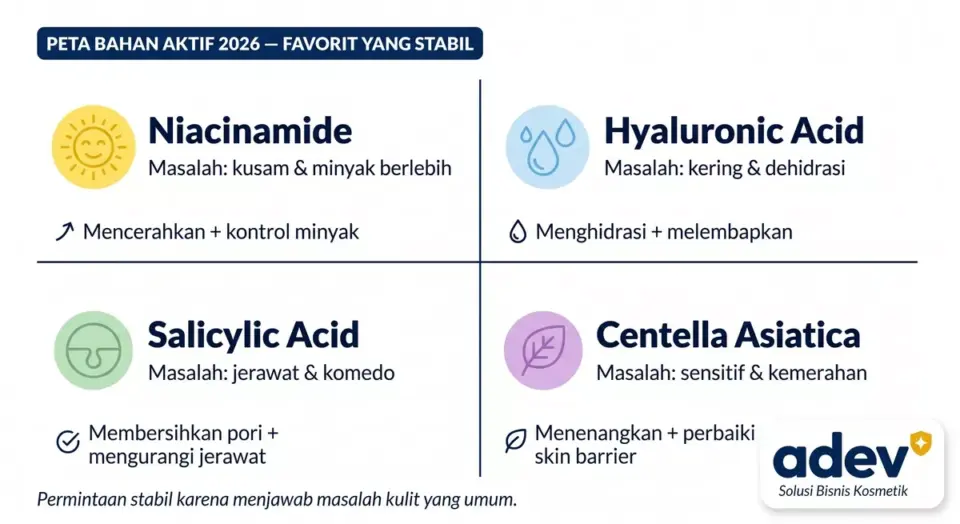 Infografik peta empat bahan aktif favorit 2026: niacinamide untuk kusam, hyaluronic acid untuk kering, salicylic acid untuk jerawat, centella asiatica untuk sensitif, setiap bahan dengan ikon dan warna berbeda